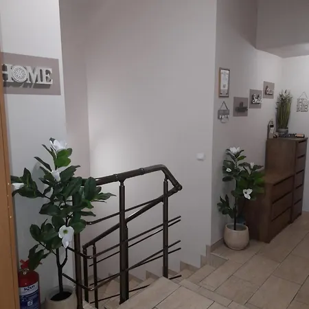 Fotiadis - Cosy And Spectacular *